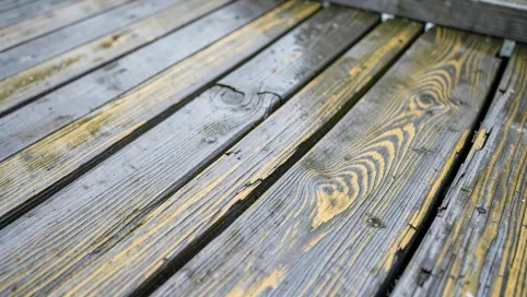 jaki olej do tarasu z modrzewia